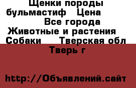 Щенки породы бульмастиф › Цена ­ 25 000 - Все города Животные и растения » Собаки   . Тверская обл.,Тверь г.